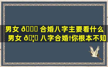 男女 🐎 合婚八字主要看什么（男女 🦈 八字合婚!你根本不知道的姻）